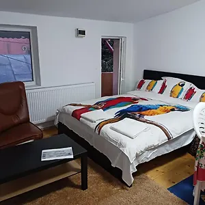 Сasa de vacaciones Sara 3 Dormitoare Nu Primesc Santieristi Si Petrecareti, Bucarest